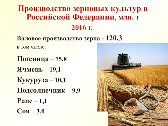 Производство зерновых культур в Российской Федерации, млн. т 2016 г. Валовое