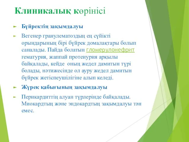 Клиникалық көрінісі Бүйректің зақымдалуы Вегенер гранулематоздың ең сүйікті орындарының бірі бүйрек