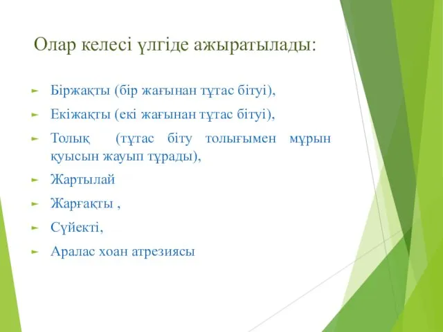 Олар келесі үлгіде ажыратылады: Біржақты (бір жағынан тұтас бітуі), Екіжақты (екі