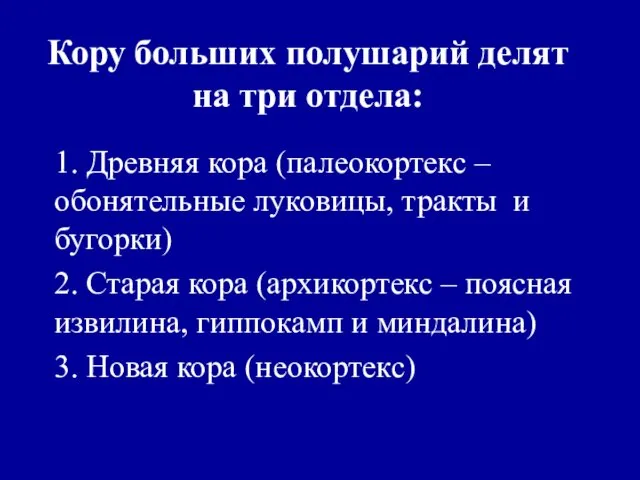 Кору больших полушарий делят на три отдела: 1. Древняя кора (палеокортекс