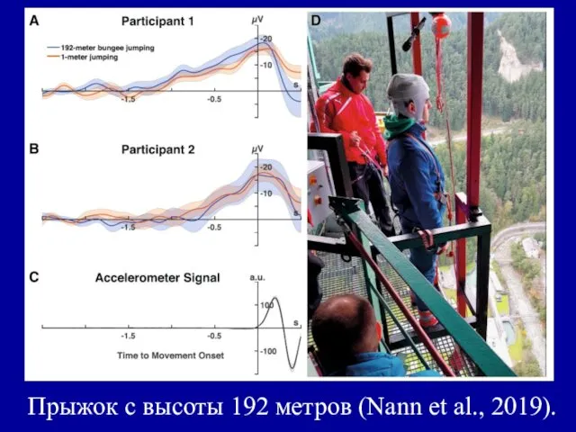 Прыжок с высоты 192 метров (Nann et al., 2019).