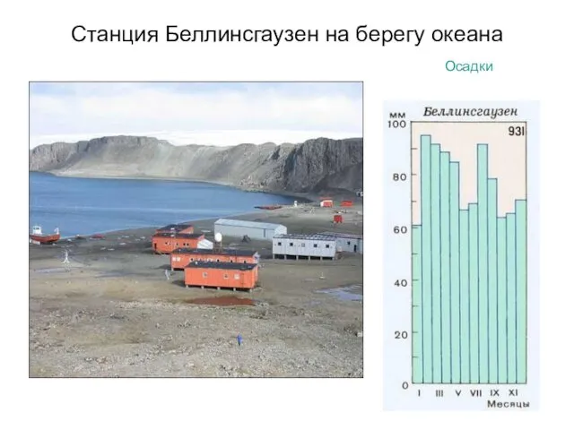 Станция Беллинсгаузен на берегу океана Осадки