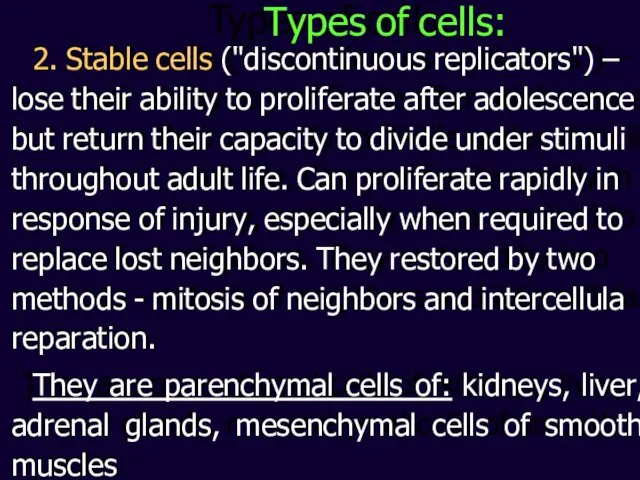 2. Stable cells ("discontinuous replicators") – lose their ability to proliferate