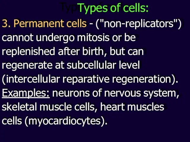 3. Permanent cells - ("non-replicators") cannot undergo mitosis or be replenished