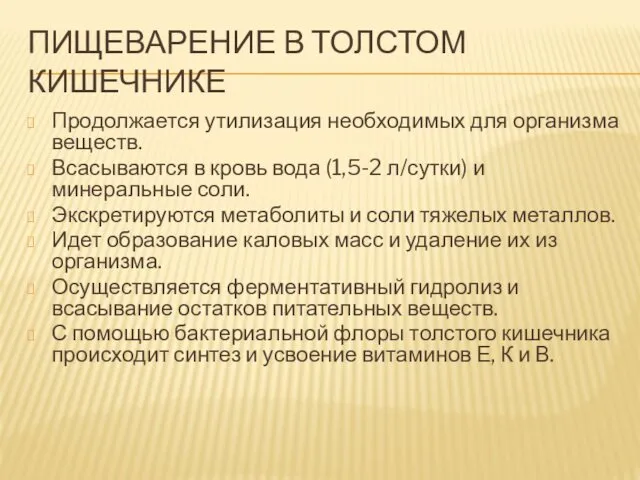 ПИЩЕВАРЕНИЕ В ТОЛСТОМ КИШЕЧНИКЕ Продолжается утилизация необходимых для организма веществ. Всасываются