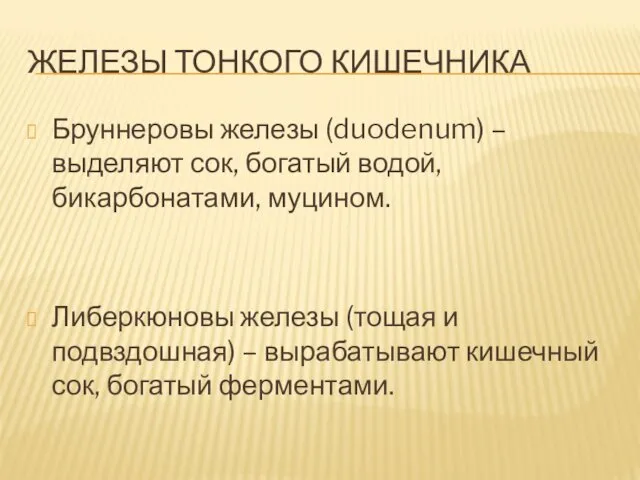 ЖЕЛЕЗЫ ТОНКОГО КИШЕЧНИКА Бруннеровы железы (duodenum) – выделяют сок, богатый водой,