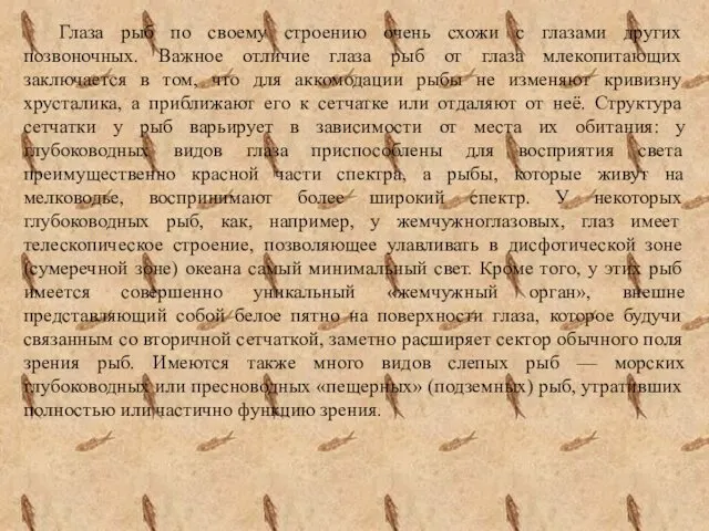 Глаза рыб по своему строению очень схожи с глазами других позвоночных.