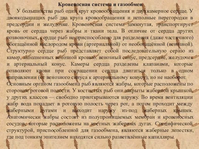 Кровеносная система и газообмен У большинства рыб один круг кровообращения и