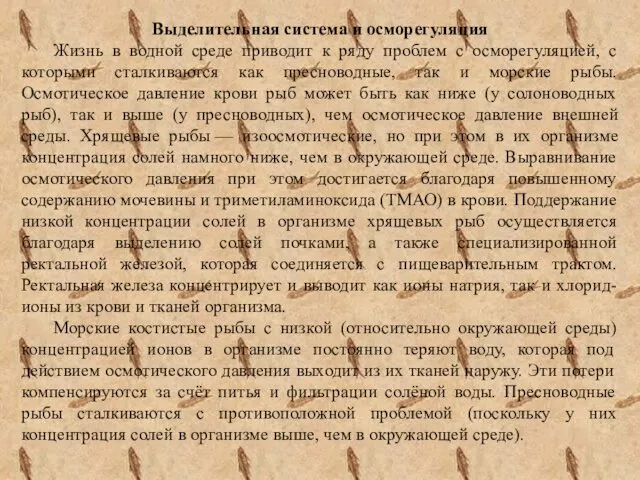 Выделительная система и осморегуляция Жизнь в водной среде приводит к ряду