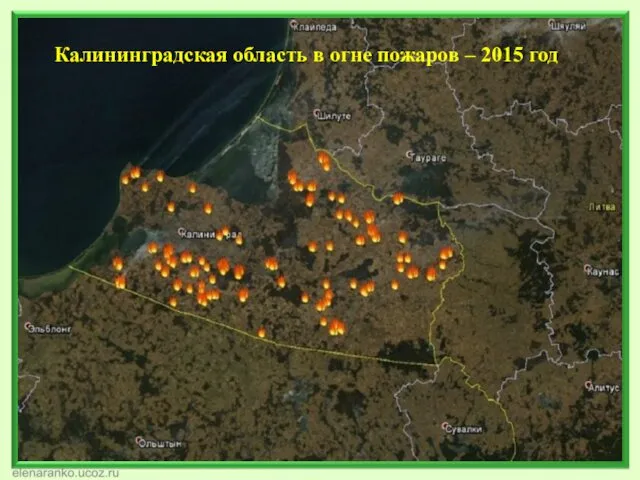 Калининградская область в огне пожаров – 2015 год