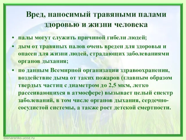 Вред, наносимый травяными палами здоровью и жизни человека палы могут служить