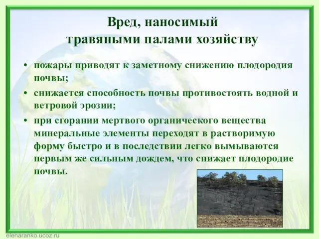 Вред, наносимый травяными палами хозяйству пожары приводят к заметному снижению плодородия