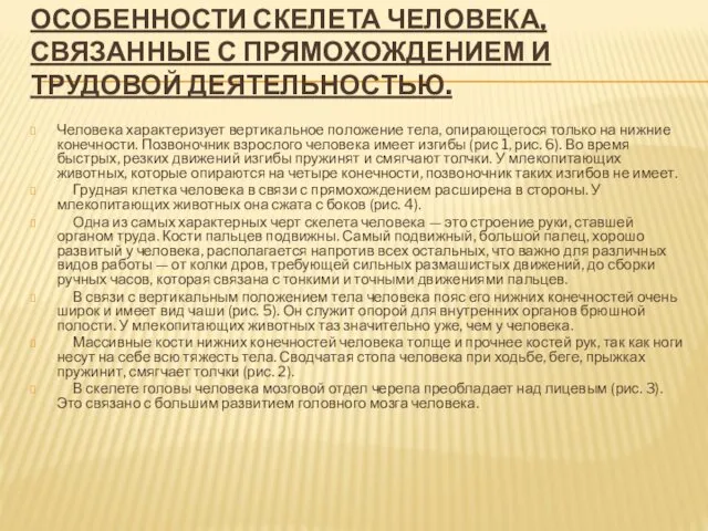 ОСОБЕННОСТИ СКЕЛЕТА ЧЕЛОВЕКА, СВЯЗАННЫЕ С ПРЯМОХОЖДЕНИЕМ И ТРУДОВОЙ ДЕЯТЕЛЬНОСТЬЮ. Человека характеризует