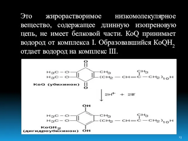 Это жирорастворимое низкомолекулярное вещество, содержащее длинную изопреновую цепь, не имеет белковой