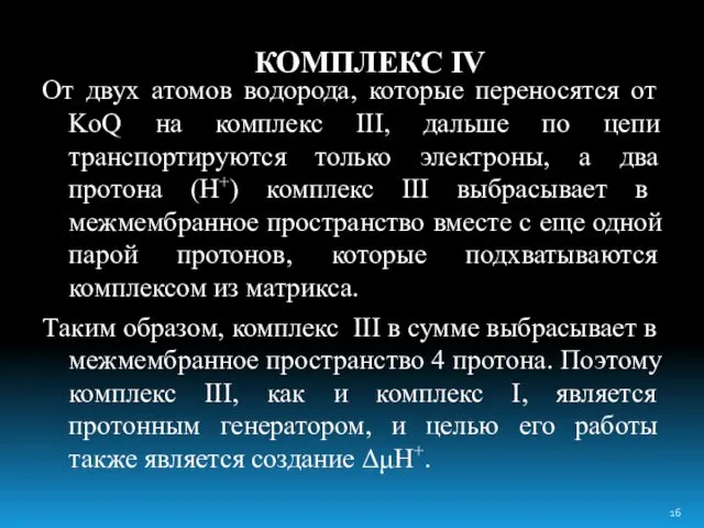 КОМПЛЕКС IV От двух атомов водорода, которые переносятся от KoQ на