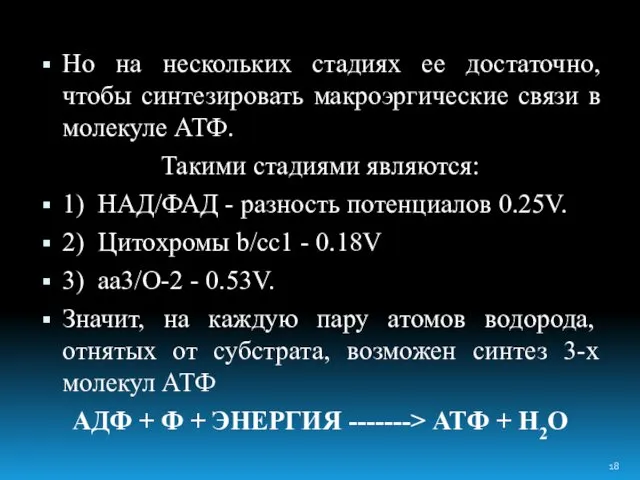 Но на нескольких стадиях ее достаточно, чтобы синтезировать макроэргические связи в