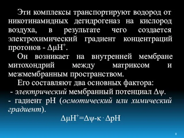 Эти комплексы транспортируют водород от никотинамидных дегидрогеназ на кислород воздуха, в