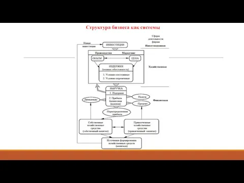 Структура бизнеса как системы