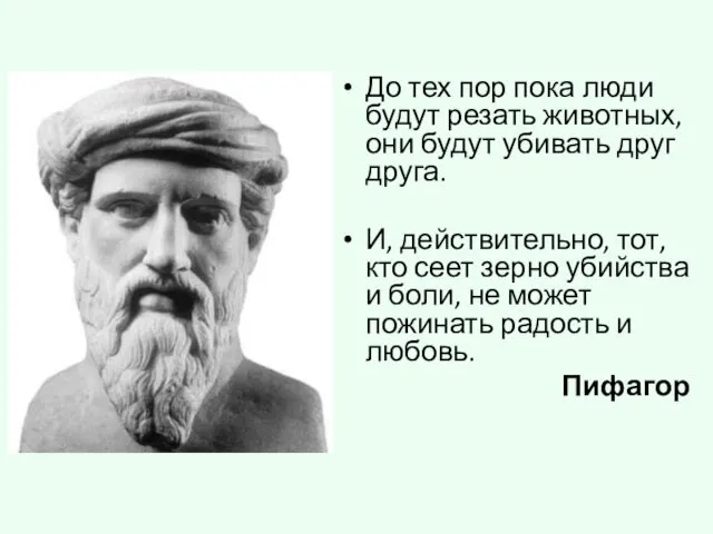 До тех пор пока люди будут резать животных, они будут убивать