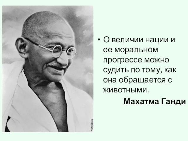 О величии нации и ее моральном прогрессе можно судить по тому,