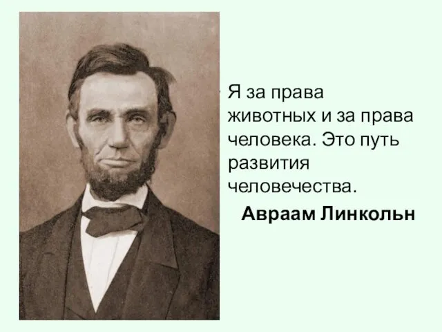 Я за права животных и за права человека. Это путь развития человечества. Авраам Линкольн