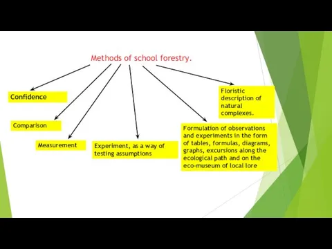 Methods of school forestry. Confidence Comparison Measurement Experiment, as a way