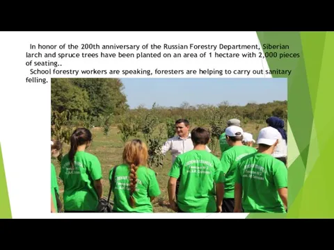 In honor of the 200th anniversary of the Russian Forestry Department,