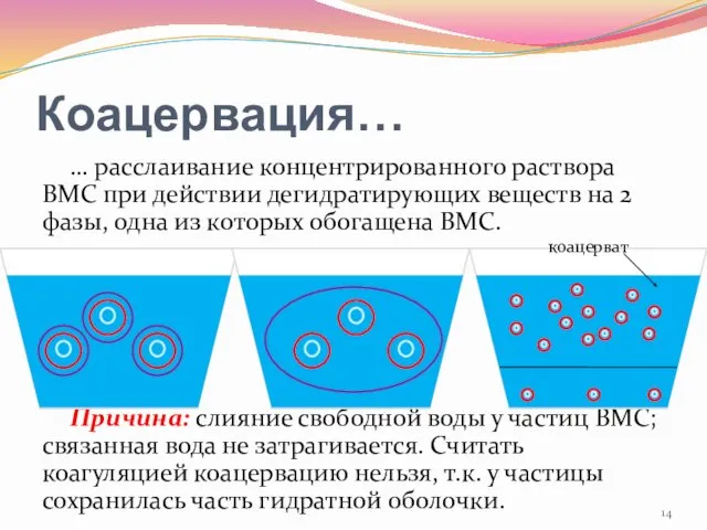 Коацервация… … расслаивание концентрированного раствора ВМС при действии дегидратирующих веществ на