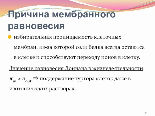 Причина мембранного равновесия избирательная проницаемость клеточных мембран, из-за которой соли белка