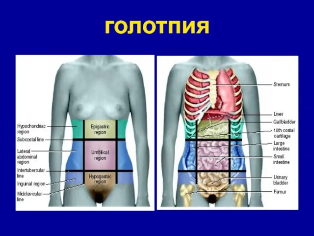 голотпия