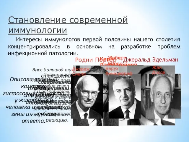 Становление современной иммунологии Интересы иммунологов первой половины нашего столетия концентрировались в