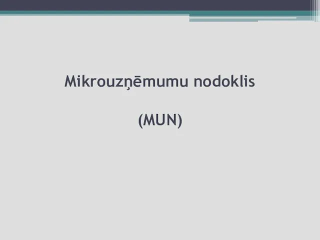 Mikrouzņēmumu nodoklis (MUN)