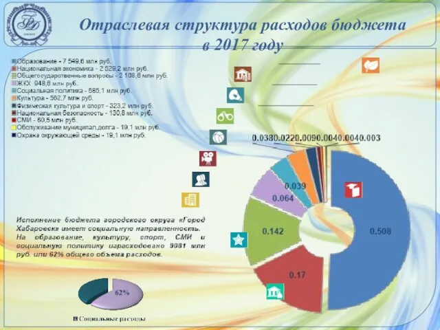 Отраслевая структура расходов бюджета в 2017 году