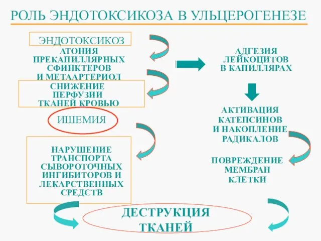 РОЛЬ ЭНДОТОКСИКОЗА В УЛЬЦЕРОГЕНЕЗЕ ДЕСТРУКЦИЯ ТКАНЕЙ ПОВРЕЖДЕНИЕ МЕМБРАН КЛЕТКИ АКТИВАЦИЯ КАТЕПСИНОВ