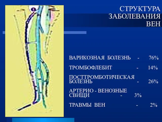 ВАРИКОЗНАЯ БОЛЕЗНЬ - 76% ТРОМБОФЛЕБИТ - 14% ПОСТТРОМБОТИЧЕСКАЯ БОЛЕЗНЬ - 26%