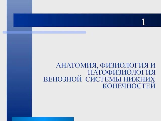 АНАТОМИЯ, ФИЗИОЛОГИЯ И ПАТОФИЗИОЛОГИЯ ВЕНОЗНОЙ СИСТЕМЫ НИЖНИХ КОНЕЧНОСТЕЙ 1