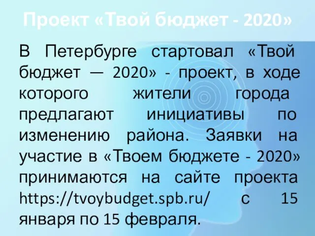 Проект «Твой бюджет - 2020» В Петербурге стартовал «Твой бюджет —