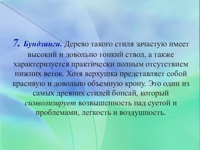 7. Бундзинги. Дерево такого стиля зачастую имеет высокий и довольно тонкий