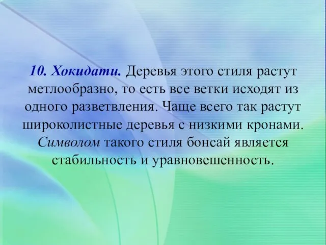 10. Хокидати. Деревья этого стиля растут метлообразно, то есть все ветки