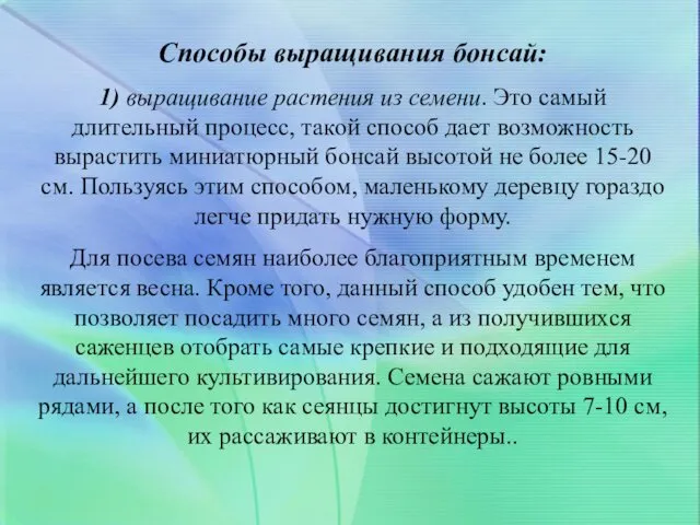 Способы выращивания бонсай: 1) выращивание растения из семени. Это самый длительный