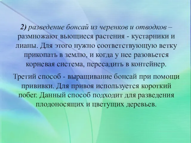 2) разведение бонсай из черенков и отводков –размножают вьющиеся растения -