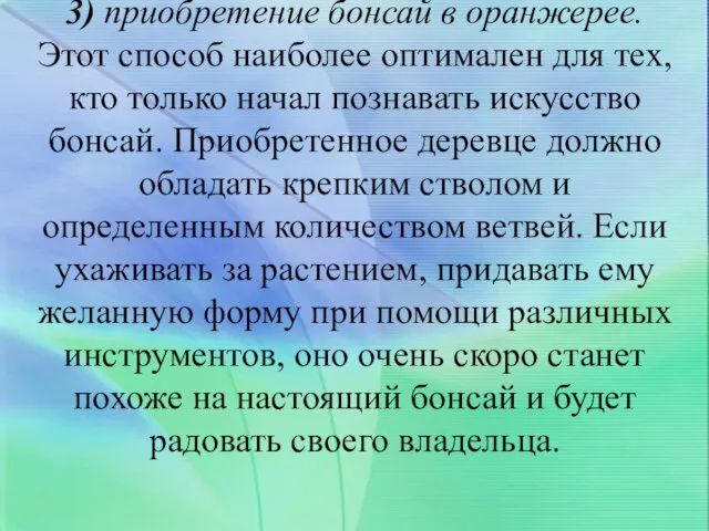 3) приобретение бонсай в оранжерее. Этот способ наиболее оптимален для тех,