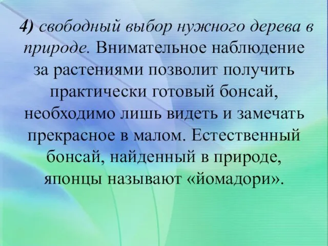 4) свободный выбор нужного дерева в природе. Внимательное наблюдение за растениями