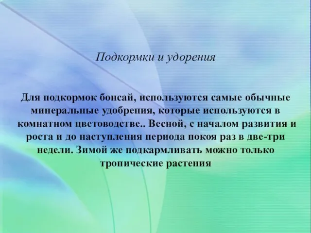 Подкормки и удорения Для подкормок бонсай, используются самые обычные минеральные удобрения,