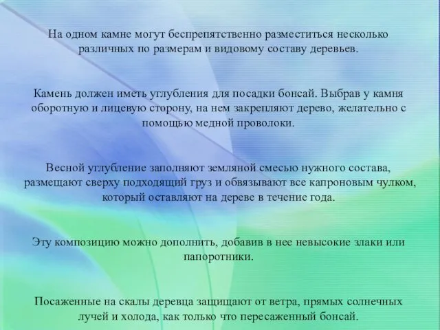 Посадка растений на «скалу» Бонсай, укорененный в «скале». Камень («скалу») следует