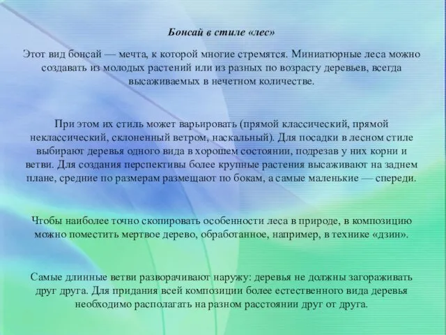 Бонсай в стиле «лес» Этот вид бонсай — мечта, к которой