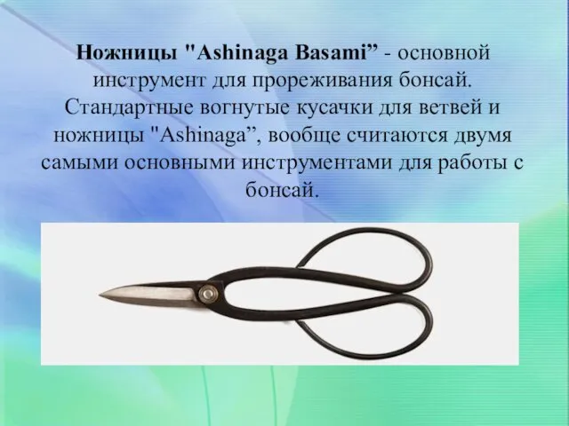 Ножницы "Ashinaga Basami” - основной инструмент для прореживания бонсай. Стандартные вогнутые