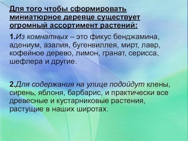 Для того чтобы сформировать миниатюрное деревце существует огромный ассортимент растений: 1.Из