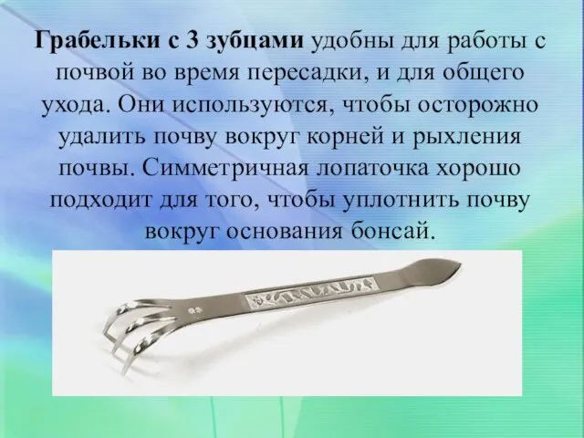 Грабельки с 3 зубцами удобны для работы с почвой во время