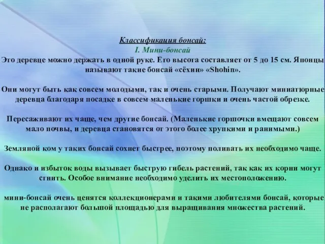 Классификация бонсай: I. Мини-бонсай Это деревце можно держать в одной руке.